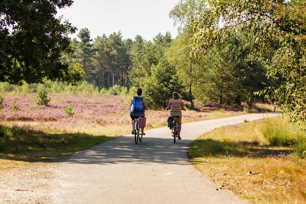 Foto bij Boerenpeelroute